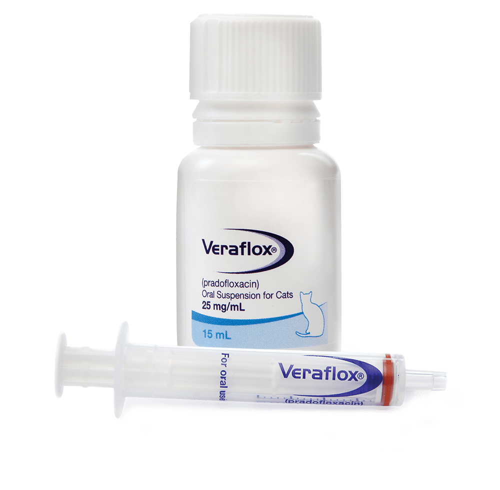 Veraflox (Pradofloxacin) Oral Suspension for Cats, 15mL