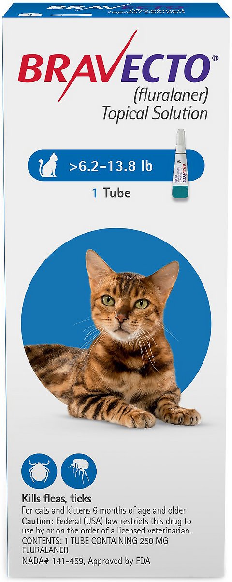 Bravecto Topical Solution for Cats