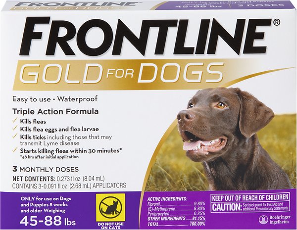 Frontline GOLD Dog