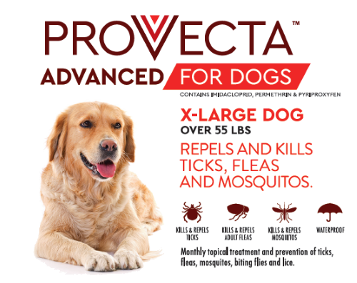 Provecta Advanced for Dogs