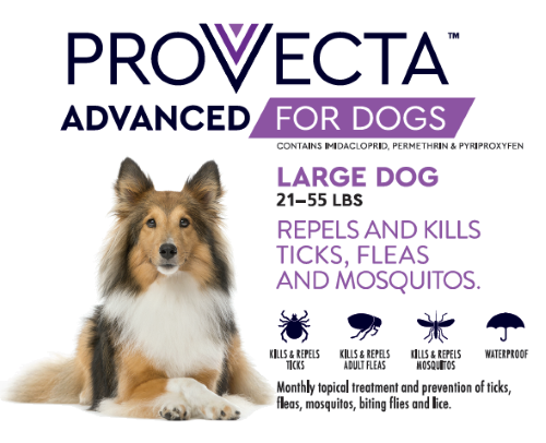 Provecta Advanced for Dogs