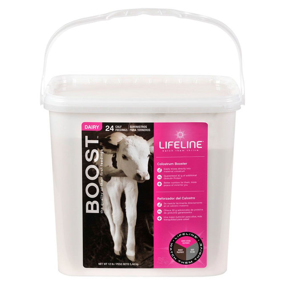 Lifeline Boost Colostrum Booster for Dairy Calves