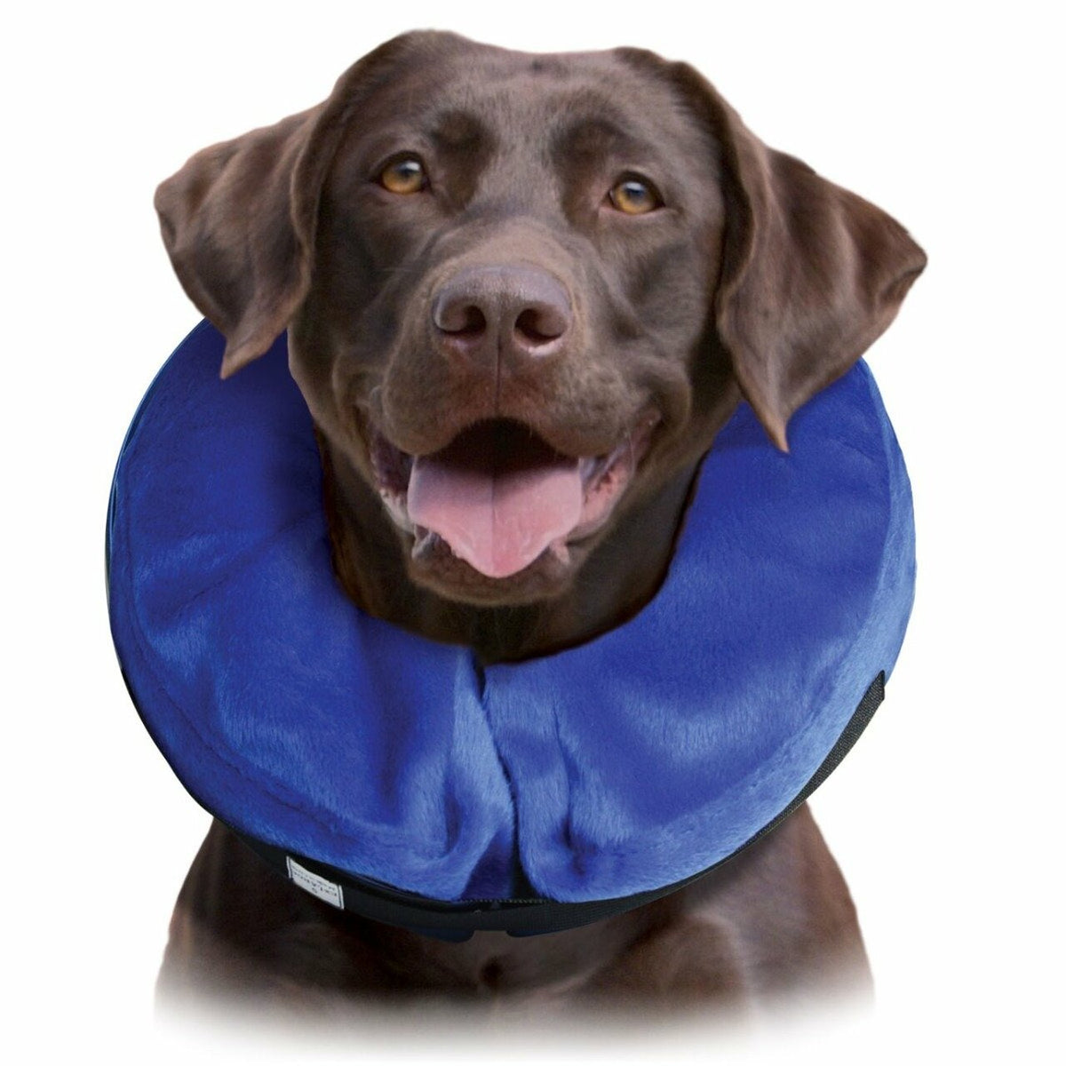 Kong Cloud Collar