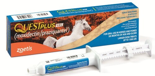 Quest Plus Equine Gel Dewormer