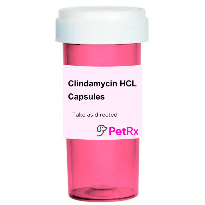 Clindamycin HCL Capsules for Dogs