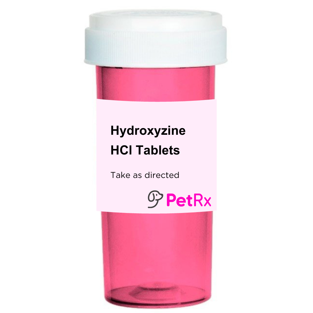Hydroxyzine and sales apoquel for dogs