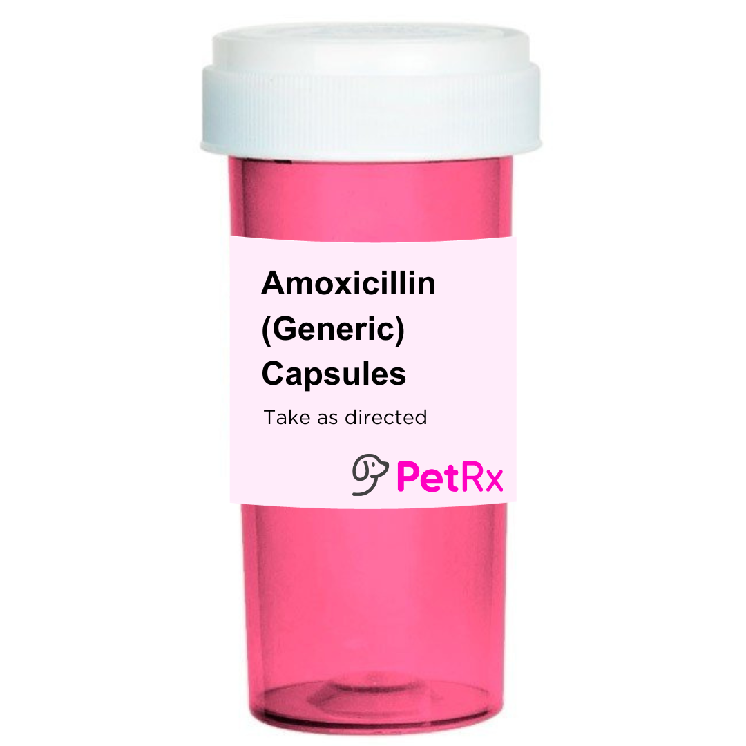 Amoxicillin (Generic) Capsules — PETRX.com