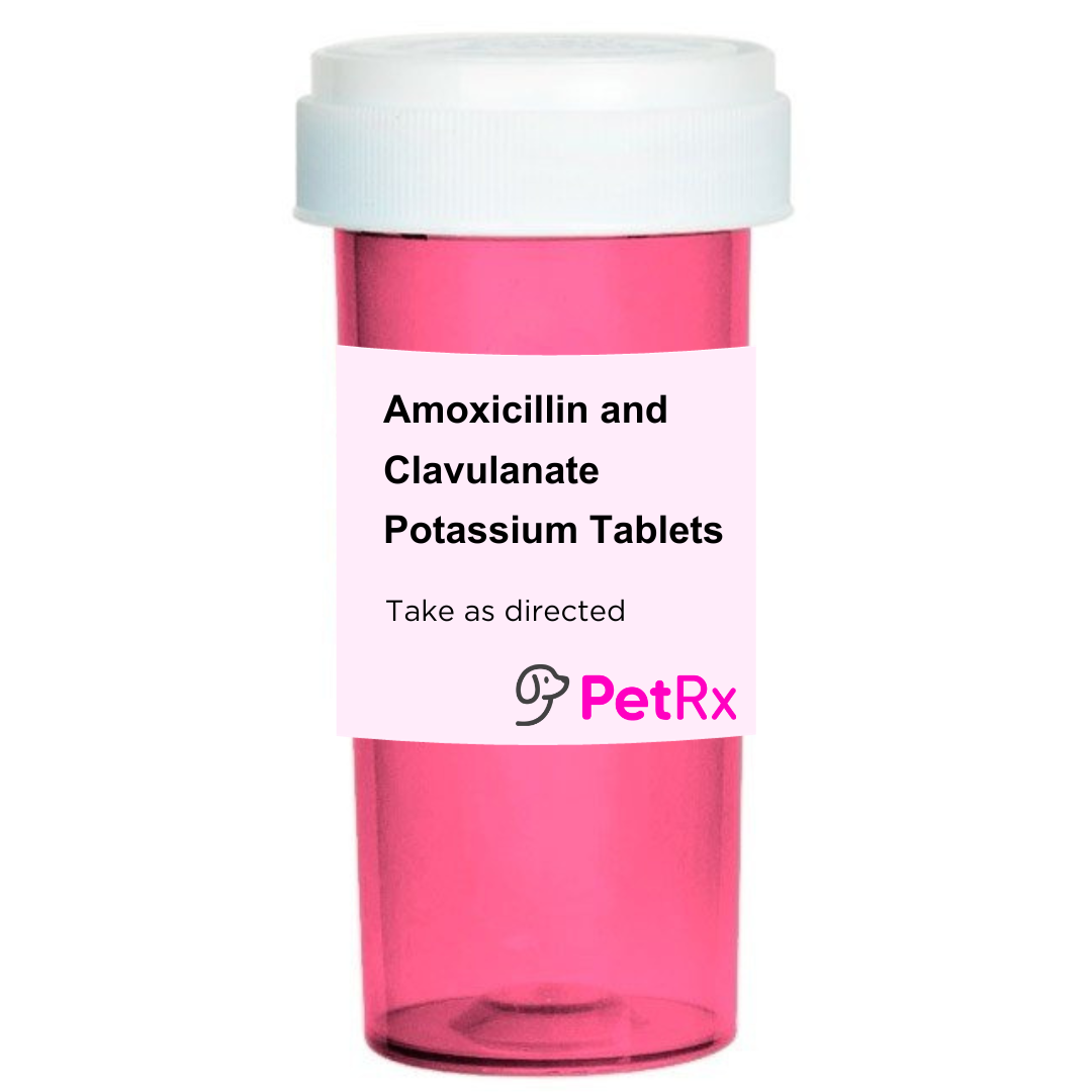 Amoxicillin and Clavulanate Potassium Tablets