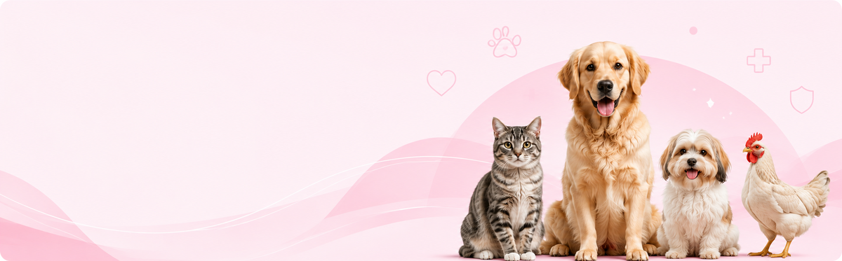 A cat, dogs and a chicken — PetRx serves every pet in the family