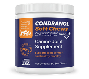 Condranol Canine Joint Supplement Soft Chews, 90 Count