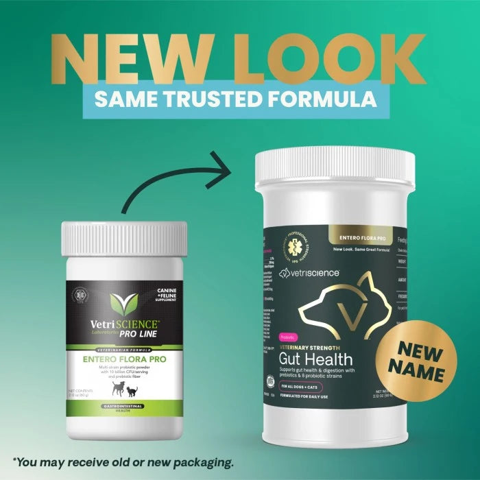 Vetriscience Veterinary Strength Gut Health for Dogs & Cats 2.12oz