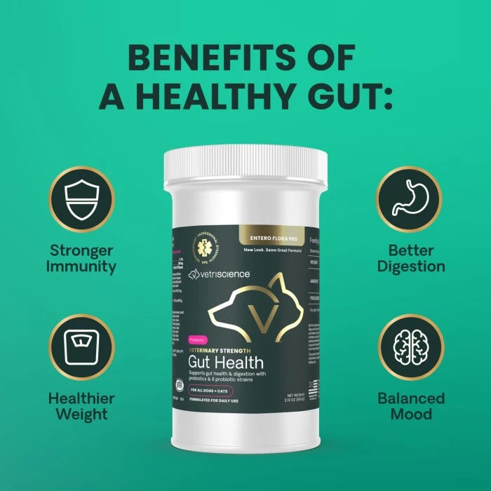 Vetriscience Veterinary Strength Gut Health for Dogs & Cats 2.12oz