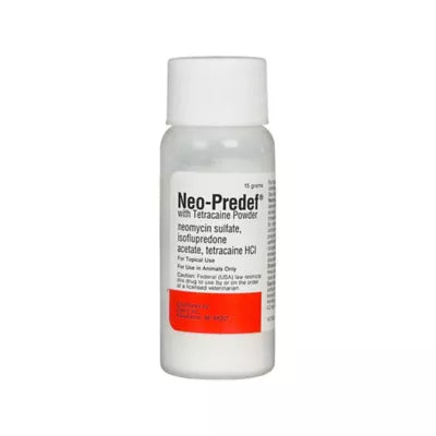 Neo-Predef with Tetracaine Topical Powder