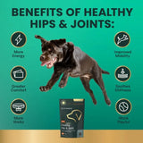 Vetriscience Veterinary Strength Healthy Hip and Joint Soft Chews for Dogs, Chicken Flavor