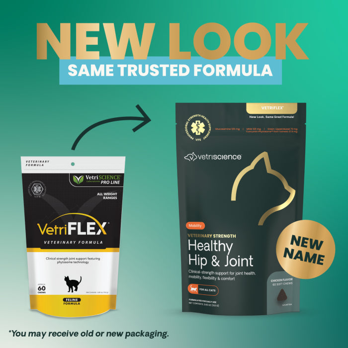 VetriScience Veterinary Strength Healthy Hip & Joint Chews for Cats