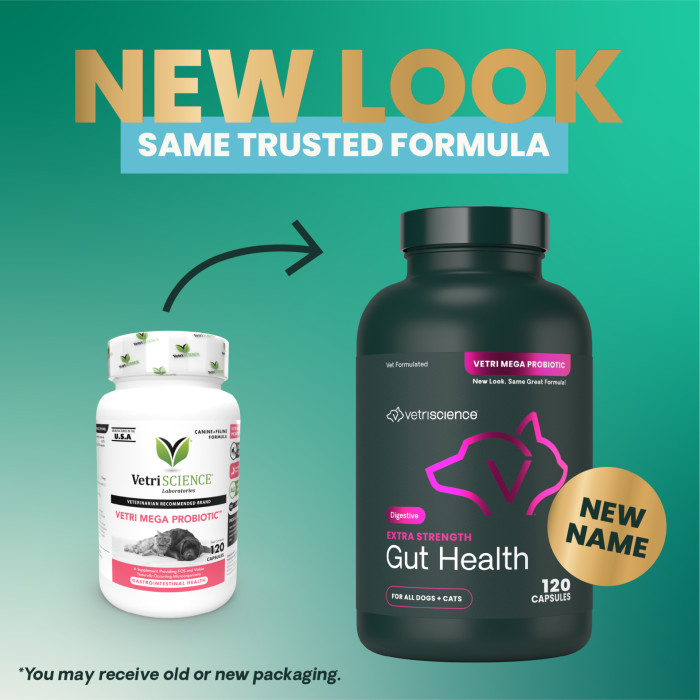 VetriScience Extra Strength Gut Health - 120 Capsules