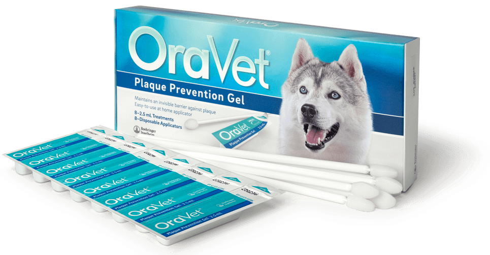 OraVet Plaque Prevention Gel Home Care Kit (8 count box)