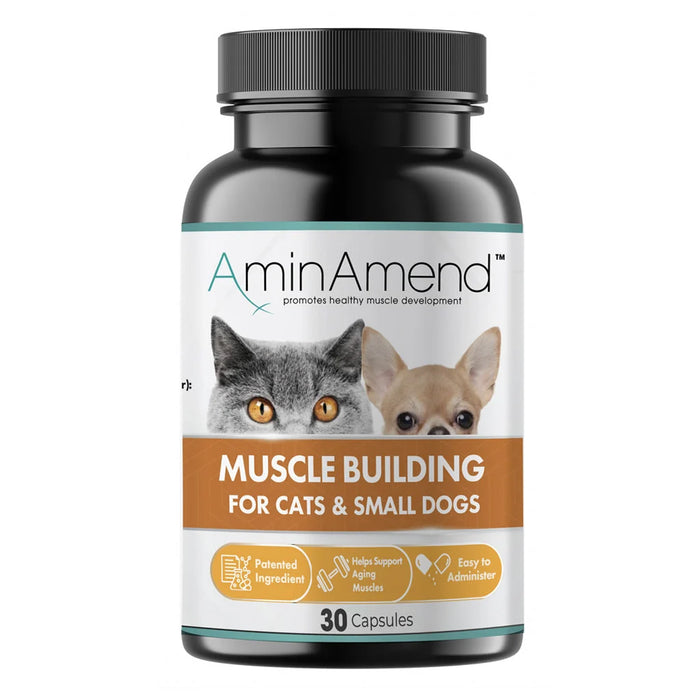 AminAmend Capsules for Cats & Small Dogs