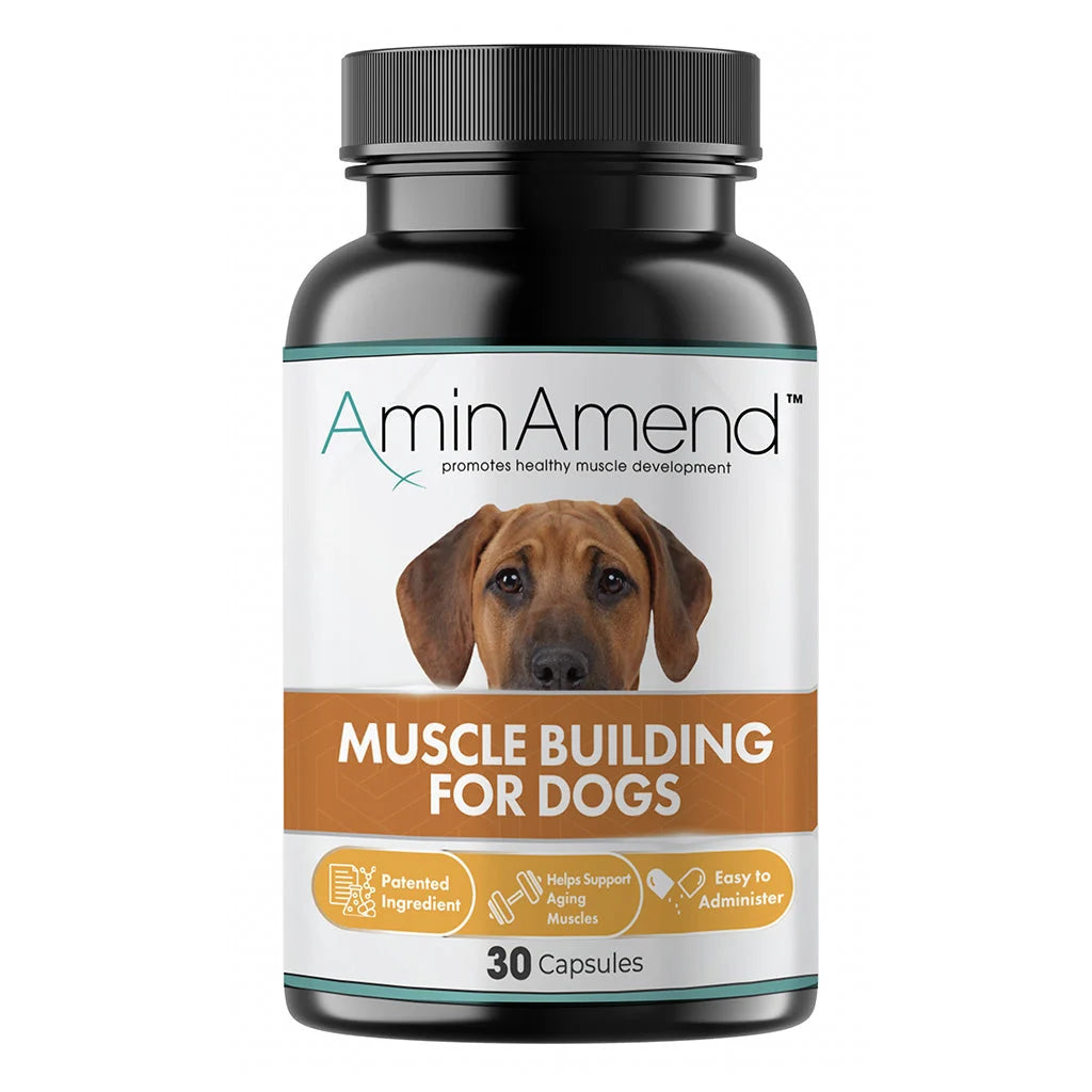 AminAmend Capsules for Large Dogs