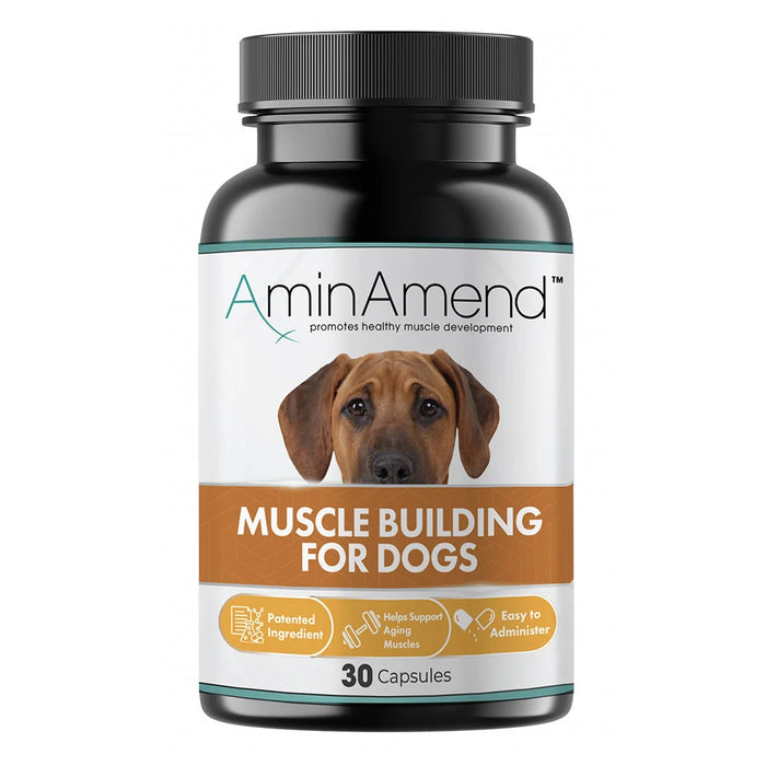 AminAmend Capsules for Large Dogs