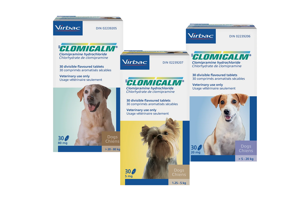 Clomicalm (Clomipramine HCl) Tablets for Dogs