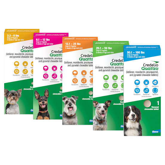 Credelio Quattro/Credelio Quattro-CA1 Chewable Tablets for Dogs