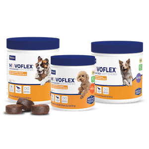 Movoflex Advanced Soft Chews, Hip and Joint Mobility Support for Dogs, 60 Count