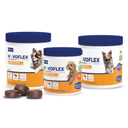 Movoflex Advanced Soft Chews, Hip and Joint Mobility Support for Dogs, 60 Count