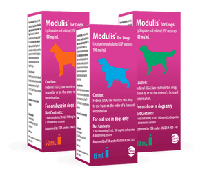 Modulis for Dogs (Cyclosporine) Oral Solution 100mg/mL