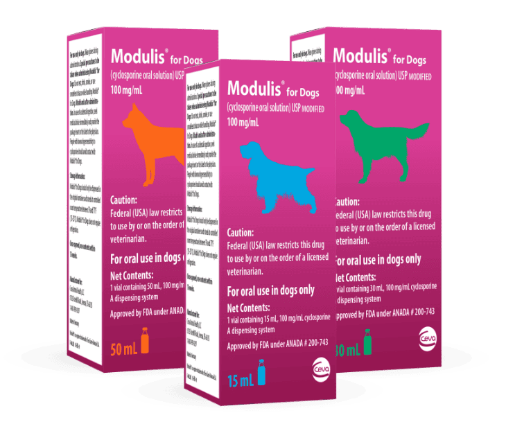 Modulis for Dogs (Cyclosporine) Oral Solution 100mg/mL
