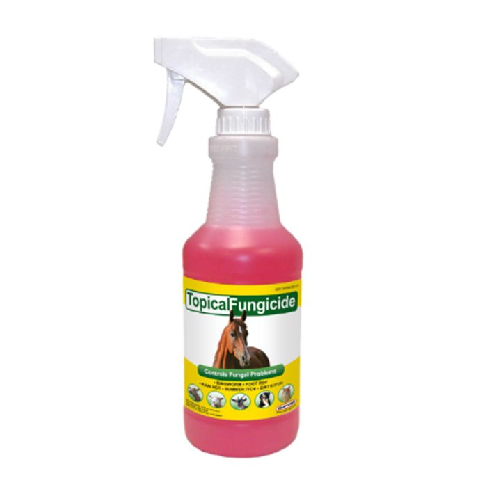 Topical Fungicide Spray, 16oz