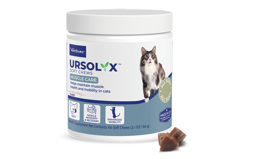 Ursolyx Muscle Care Soft Chews for Cats, 60 Count