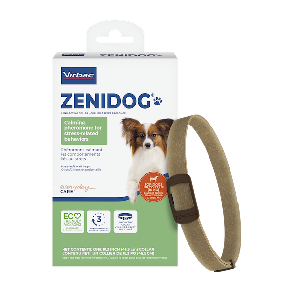 Zenidog Pheromone Collar
