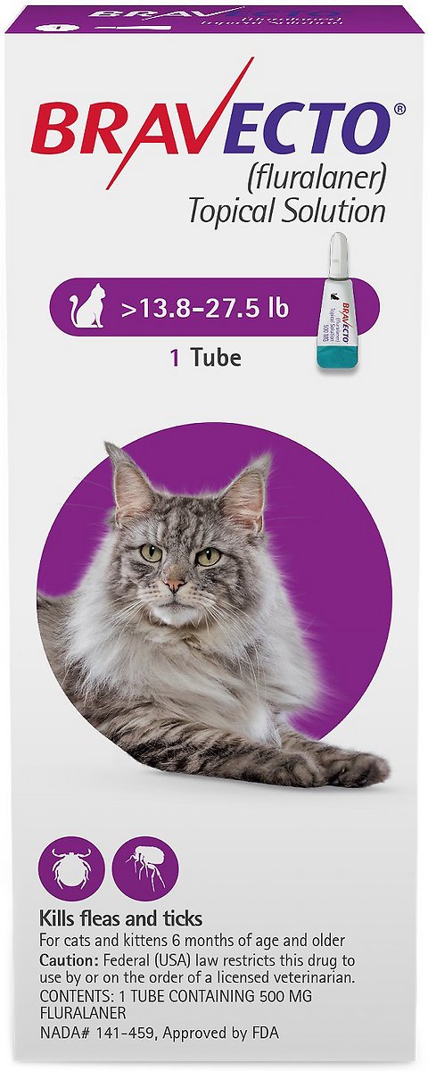 Bravecto Topical Solution for Cats