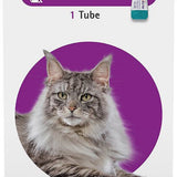 Bravecto Topical Solution for Cats