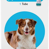Bravecto Topical Solution for Dogs