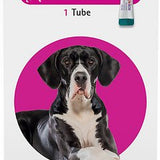 Bravecto Topical Solution for Dogs