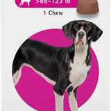 Bravecto Soft Chew for Dogs