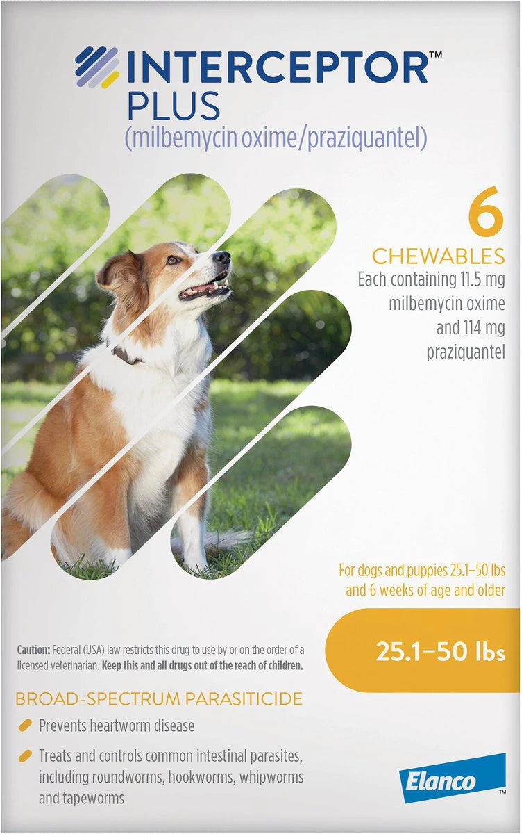 Interceptor Plus Chewables for Dogs