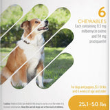 Interceptor Plus Chewables for Dogs