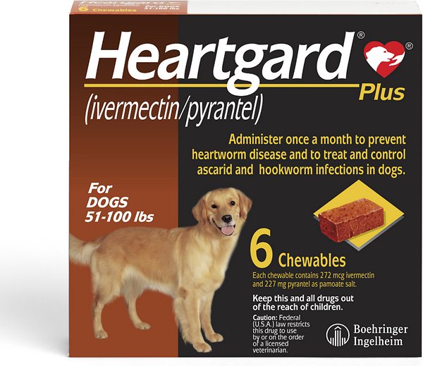 Heartgard Plus Chewables for Dogs — - Main Image