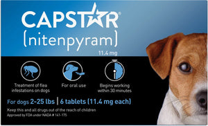 Capstar Tablets for Dogs