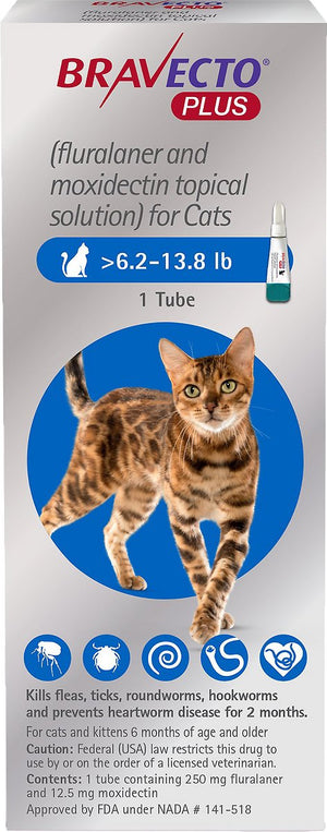 Bravecto Plus Topical Solution for Cats