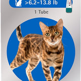 Bravecto Plus Topical Solution for Cats