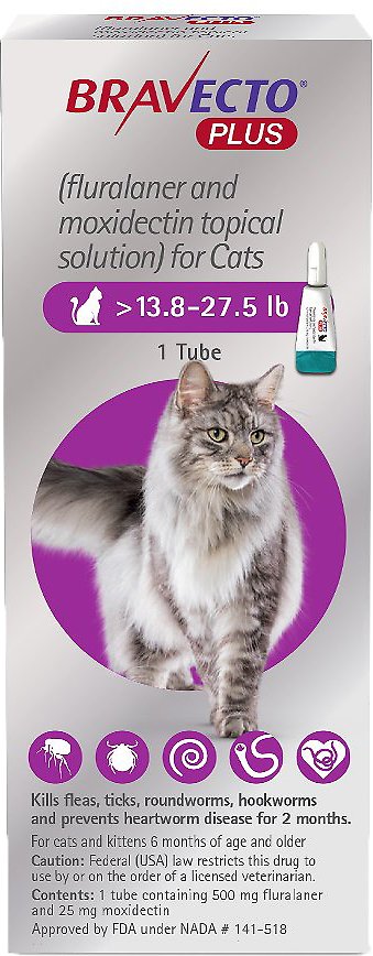 Bravecto Plus Topical Solution for Cats
