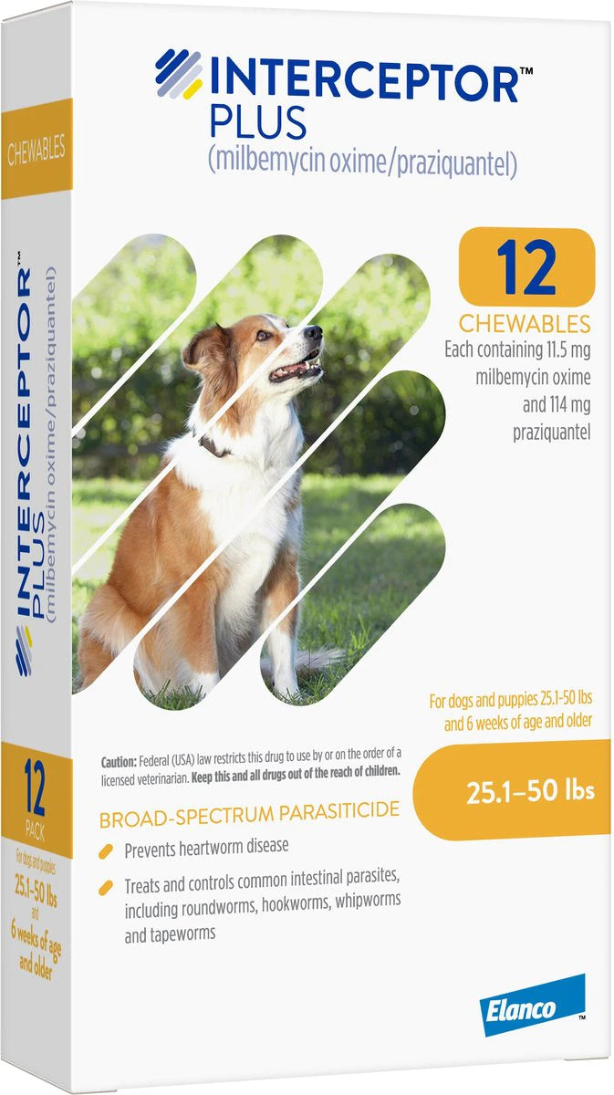 Interceptor Plus Chewables for Dogs
