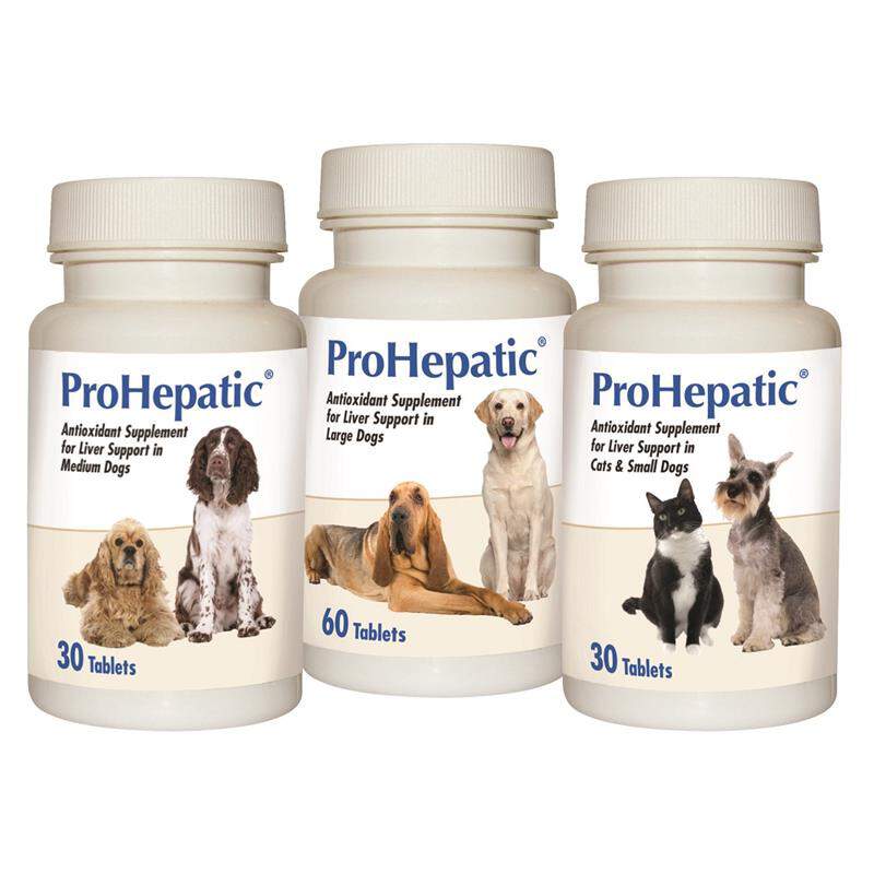 glutathione dog dosage Copper Hepatopathy in Dogs Recommended dosages for antioxidants in