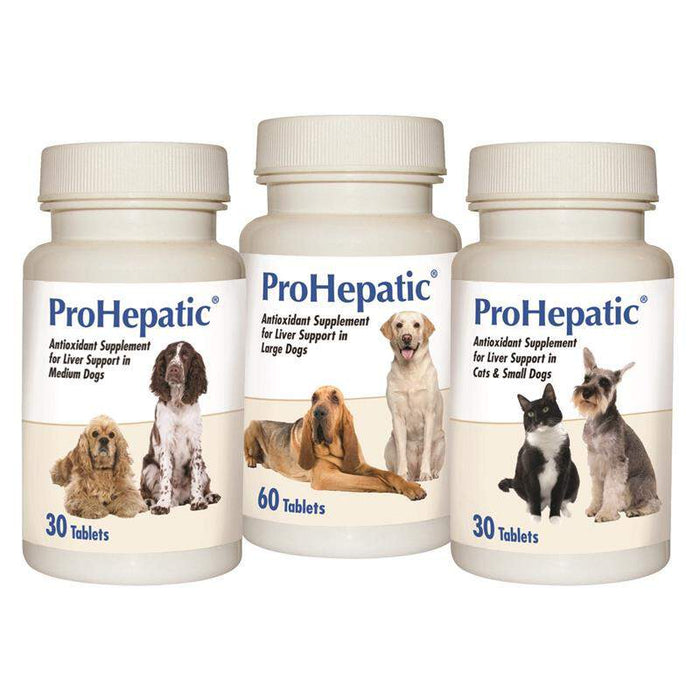 ProHepatic Liver Support