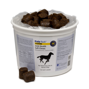 Equine Joint Health Soft Chews