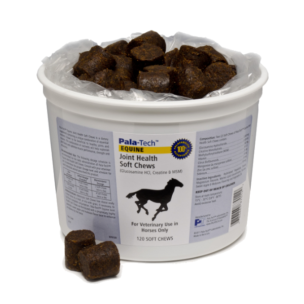 Equine Joint Health Soft Chews